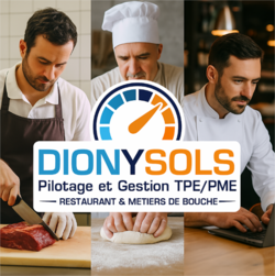 DionySols Pilotage et Gestion, une p&eacute;pite dans les ERP de pilotage TPE